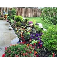 Avatar for Better Green Landscape