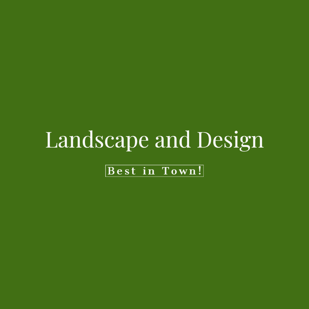 Avatar for Landscape And Design