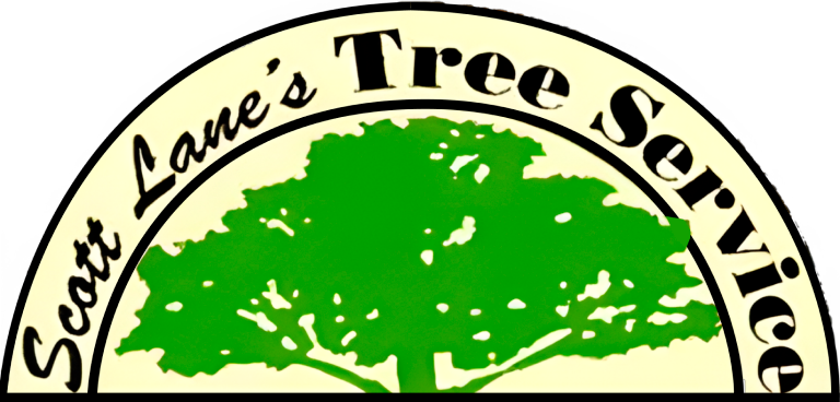 Avatar for Scott Lane's Tree Service