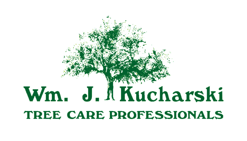 Logo for Kucharski Tree Care, LLC