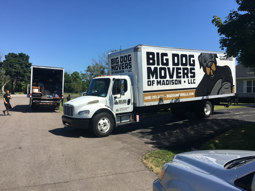 Avatar for Big Dog Movers Of Madison LLC