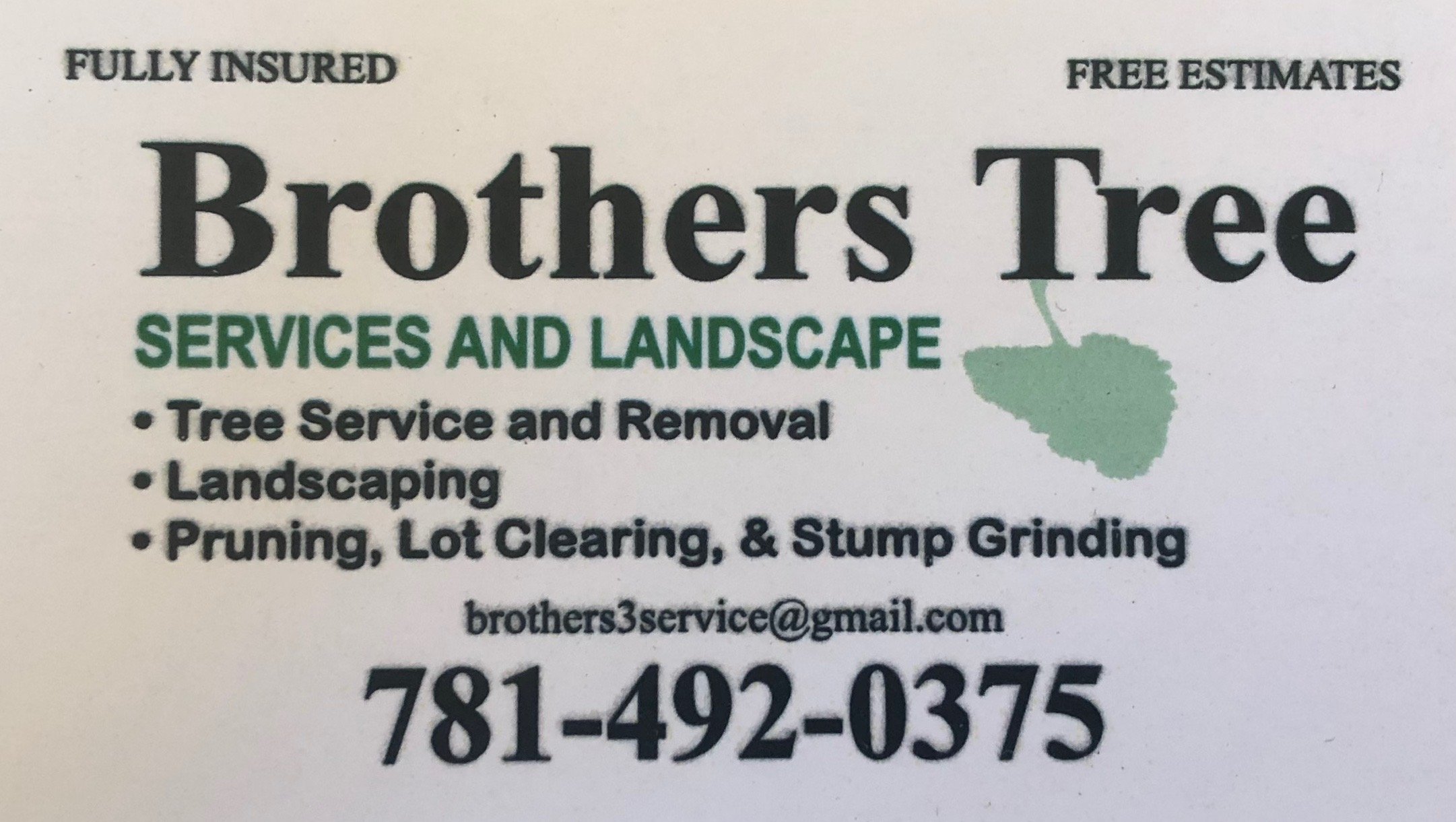 Avatar for Brothers Tree Service