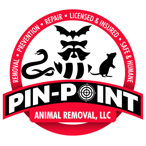 Avatar for Pin-Point Animal Removal