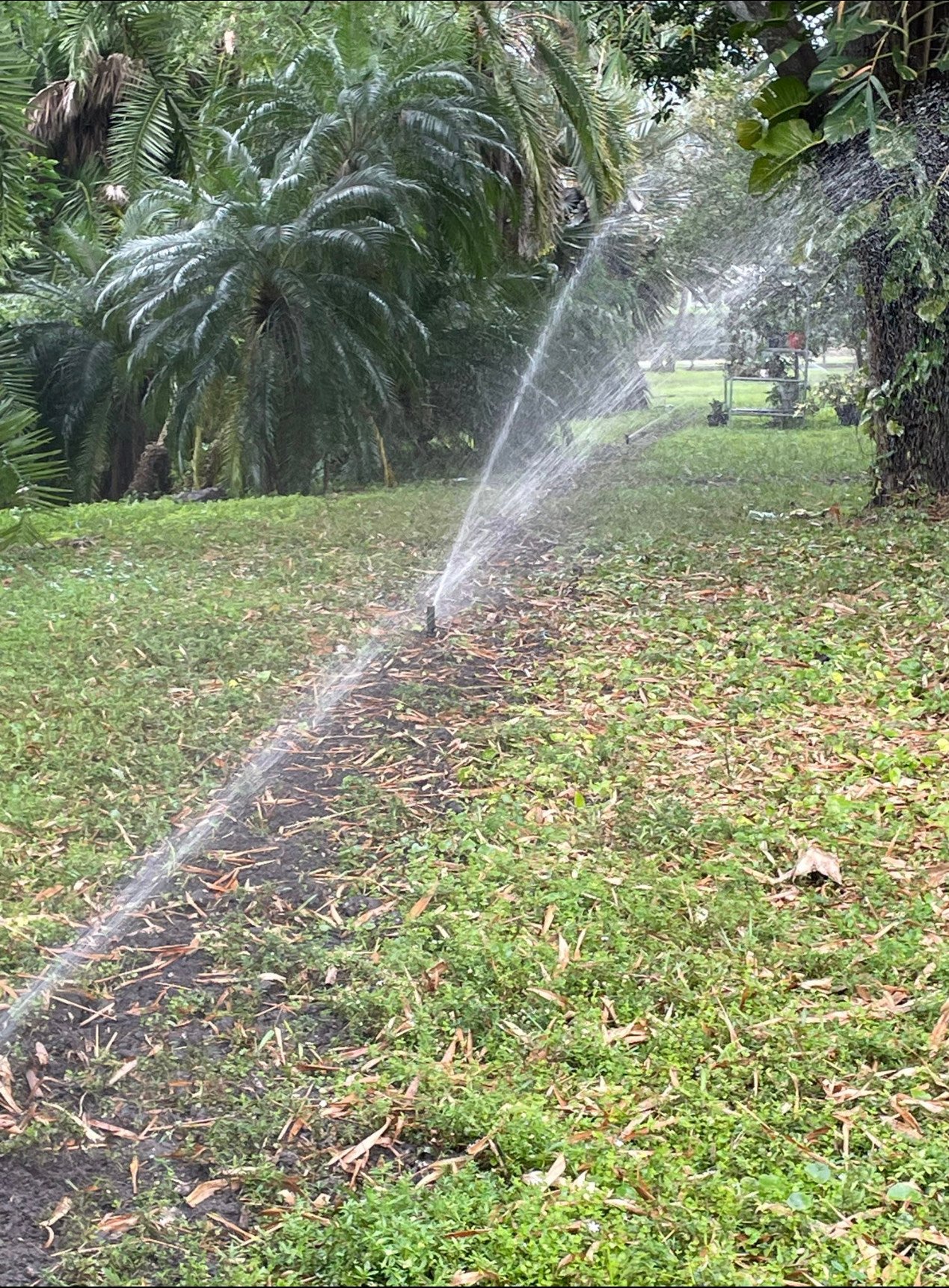 Avatar for Silva S Landscaping Irrigation