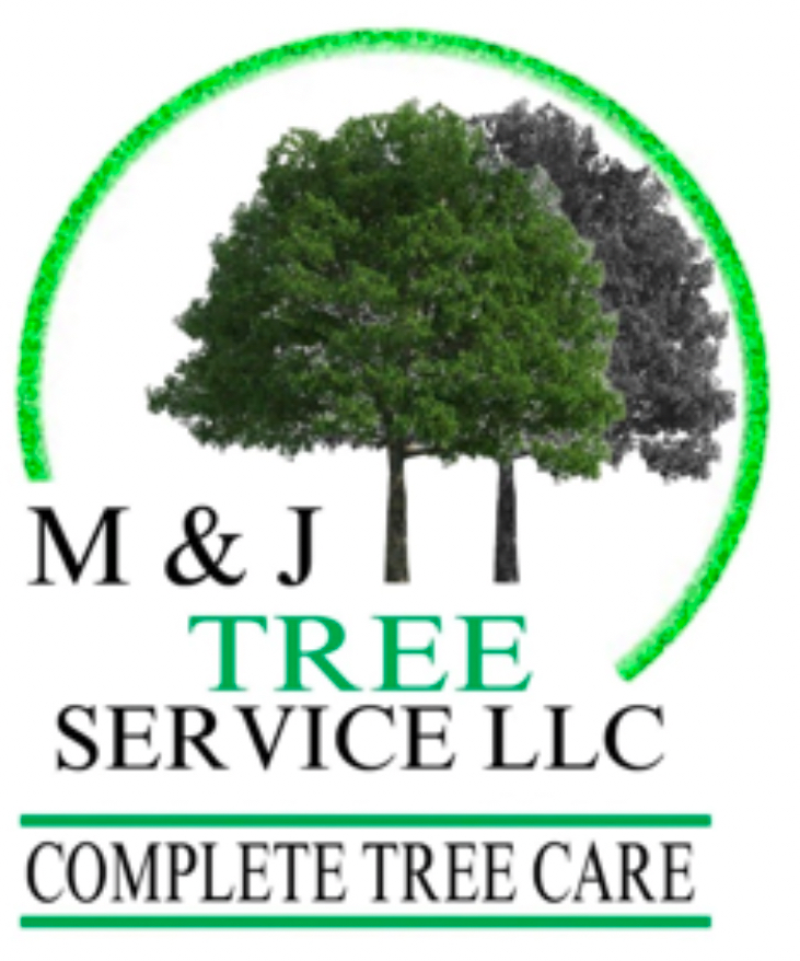 Avatar for M&J Tree Service