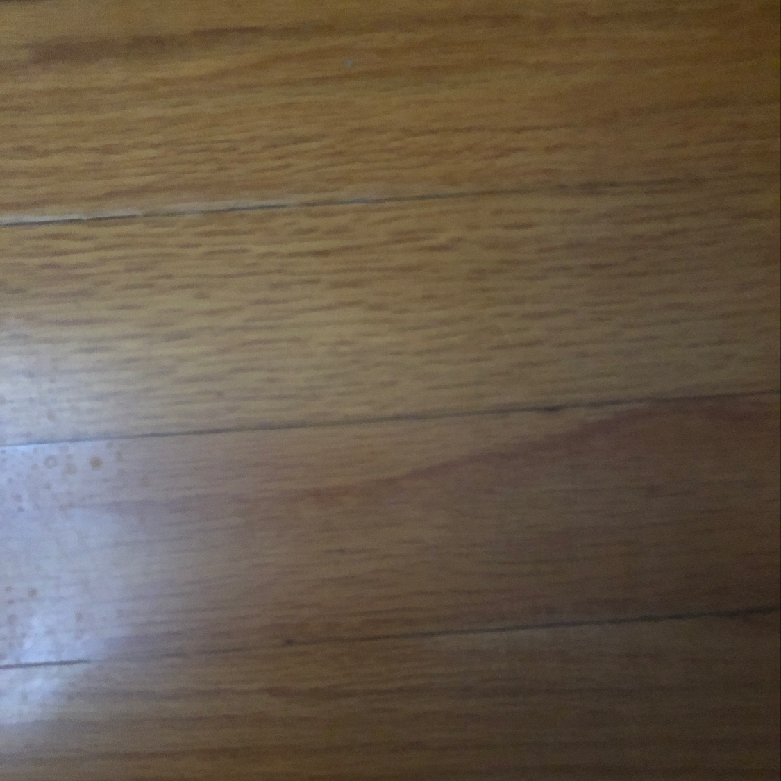 Avatar for ABE INTERIORS