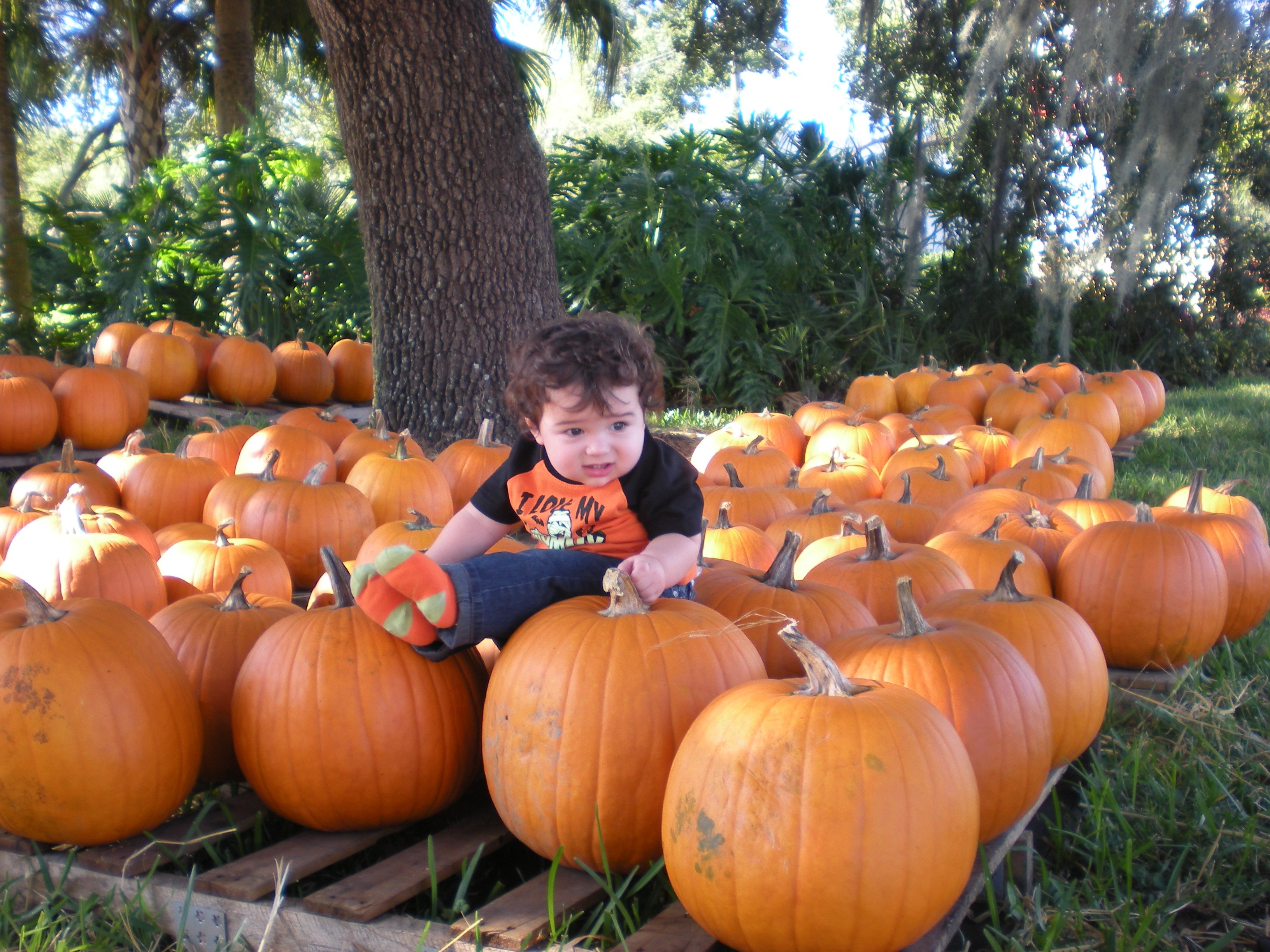 Avatar for Evergreen Outdoor Pros