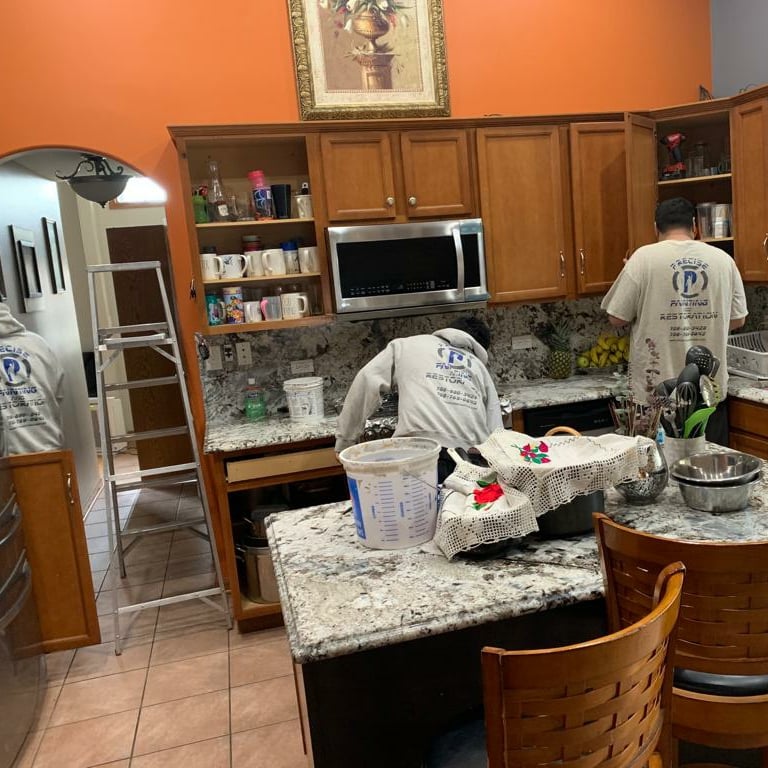 Avatar for Precise Painting and Restoration