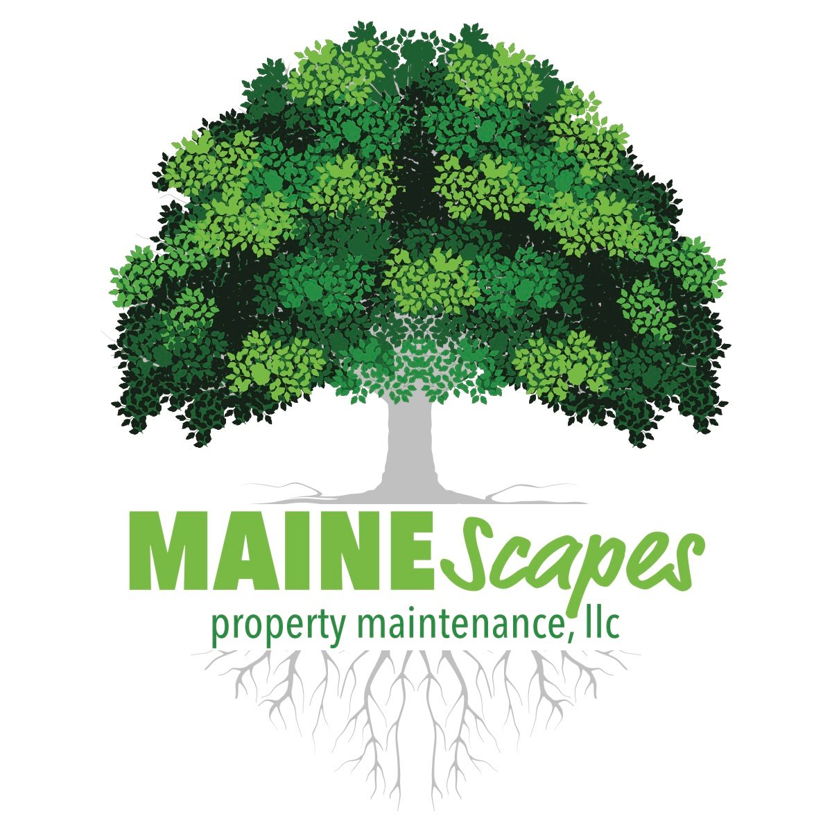 Avatar for MaineScapes Property Maintenance LLC