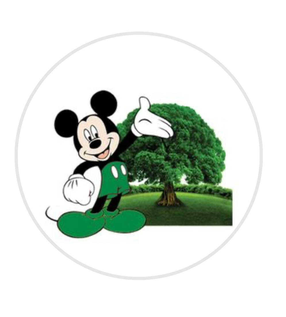 Logo for The King of Nature Landscaping