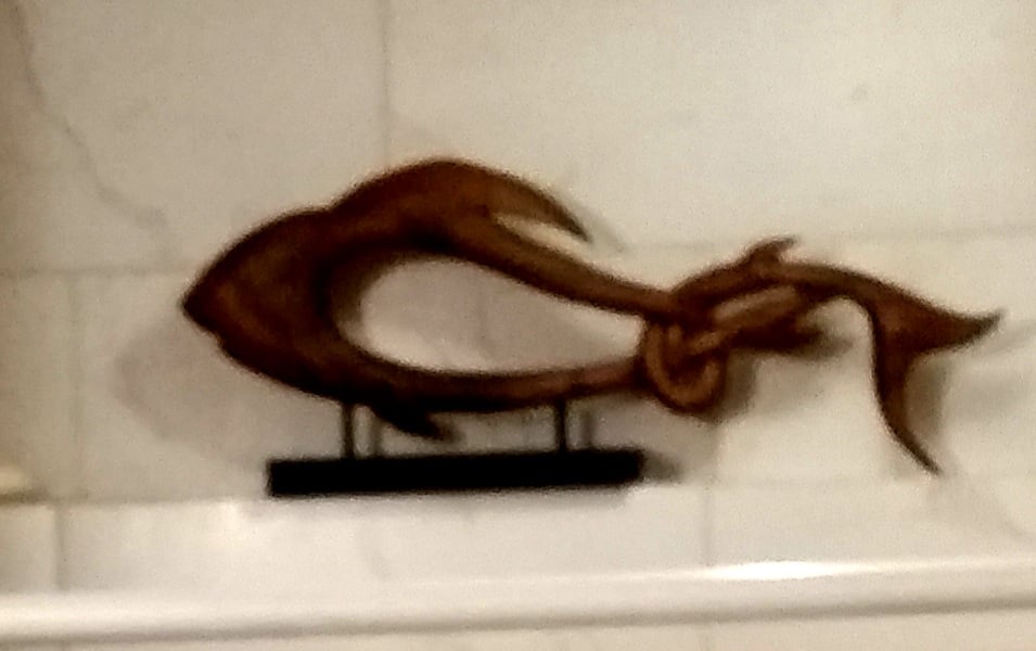 Avatar for HALE SHIELD