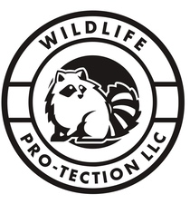 Avatar for Wildlife PRO-tection LLC