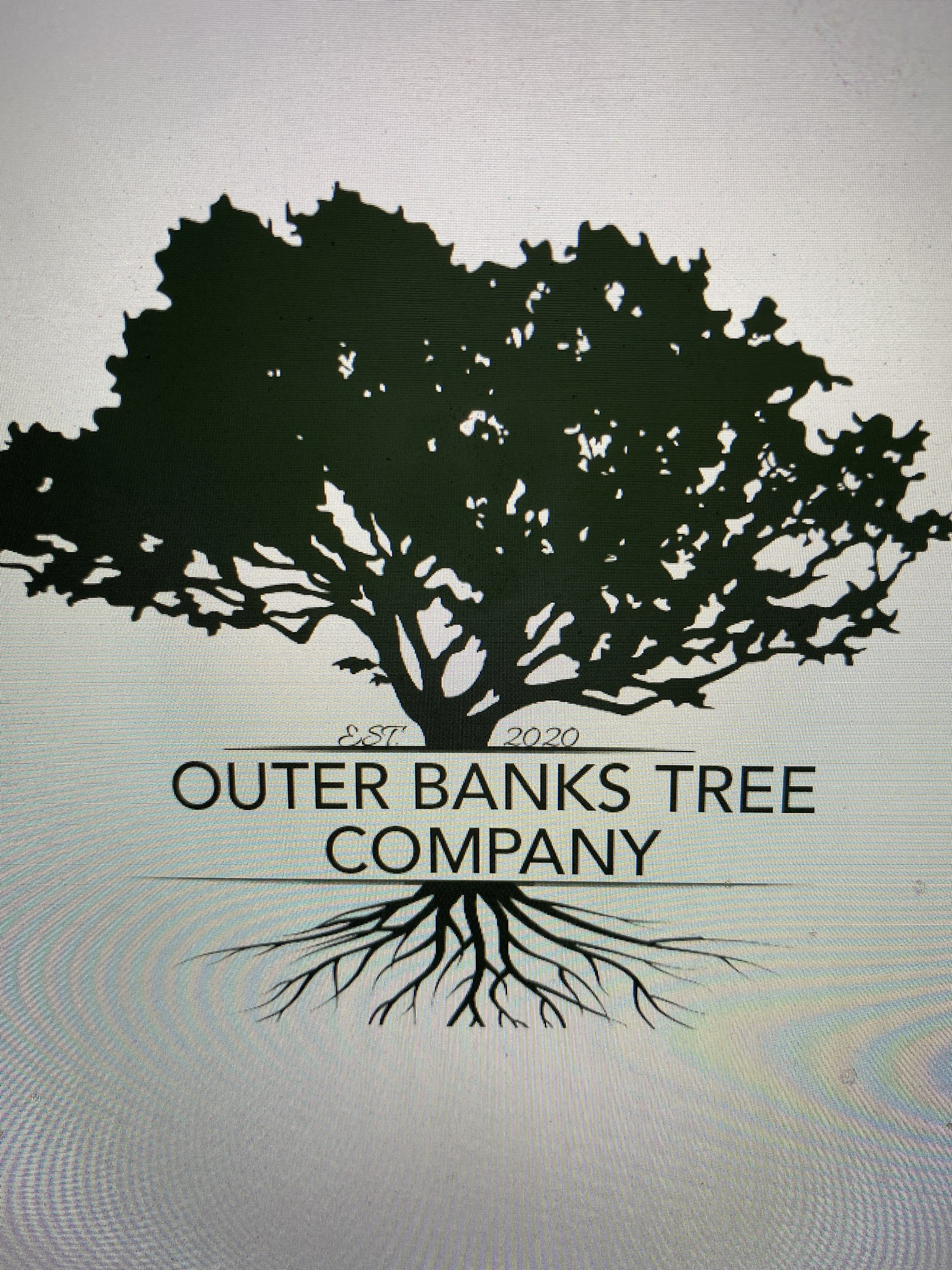 Avatar for Outer Banks Tree Service