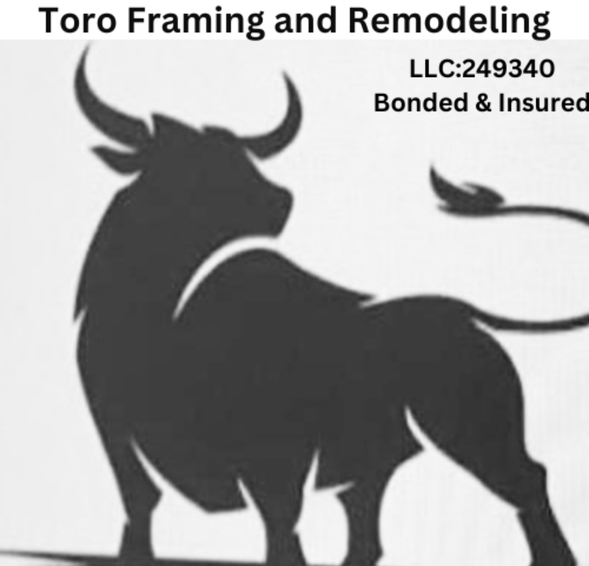 Avatar for Toro Framing and Remodeling