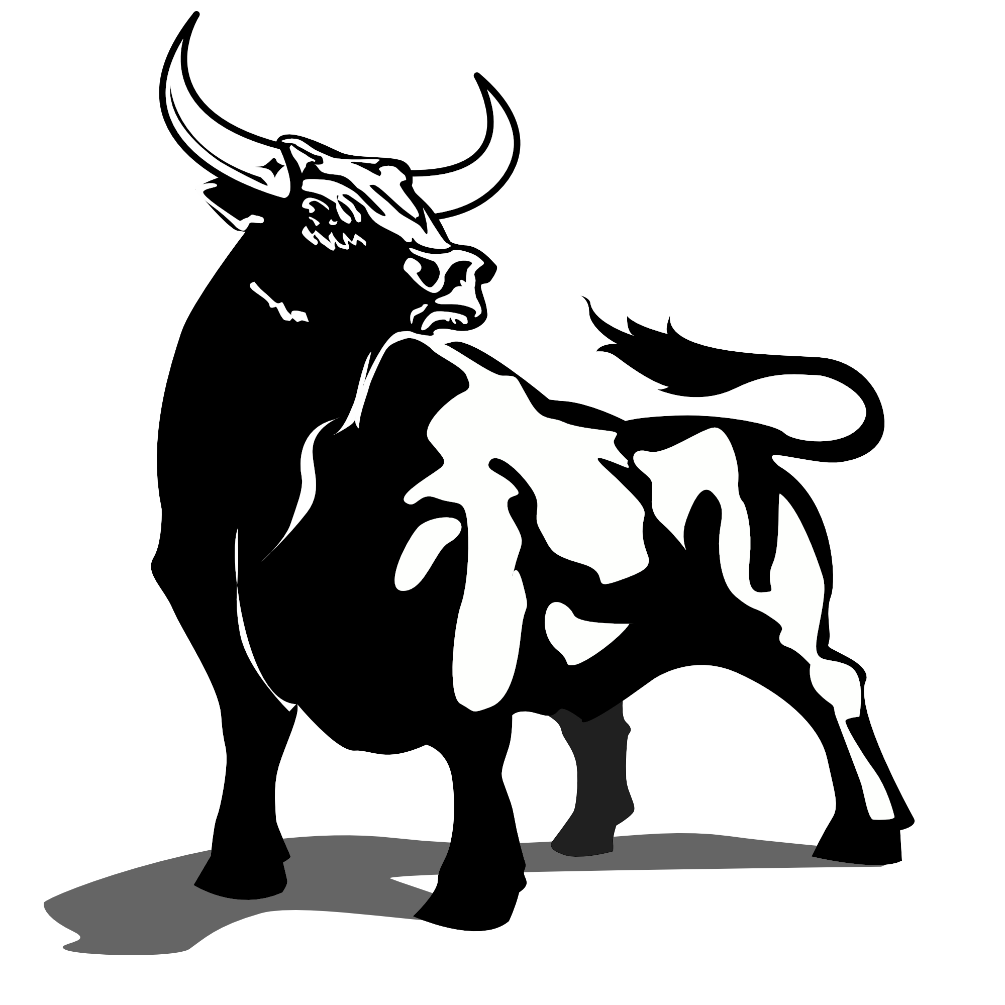 Avatar for Toro Framing and Remodeling