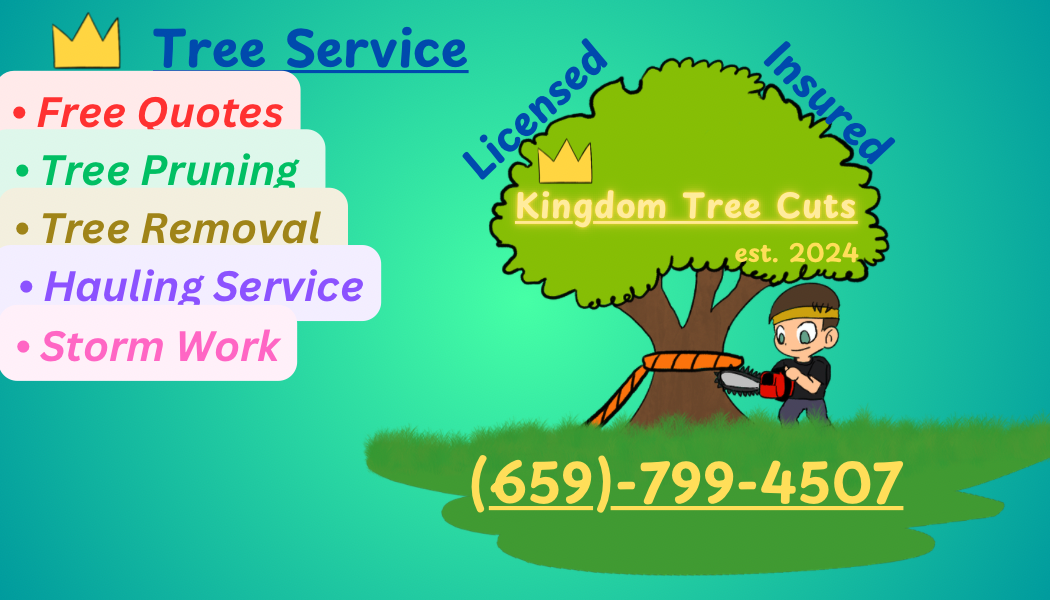 Avatar for Kingdom Tree Cuts