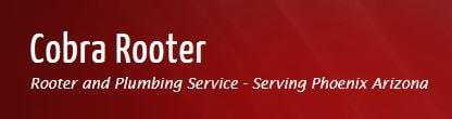 Avatar for Cobra Rooter & Plumbing Service