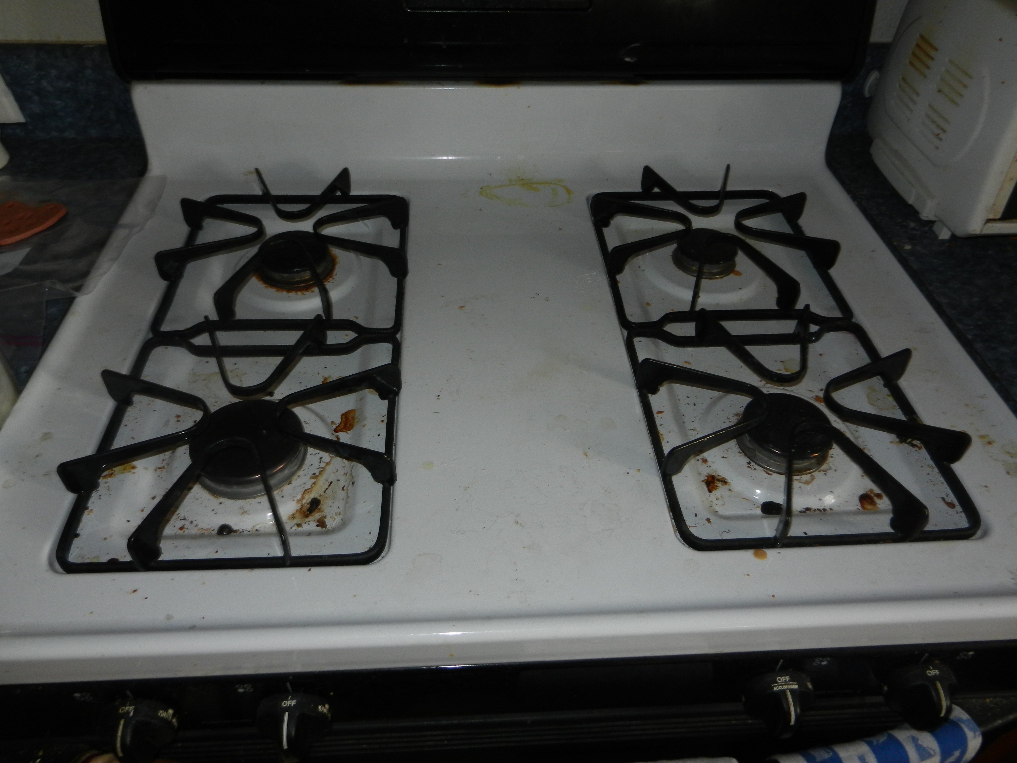 Avatar for XTRA MAID LLC