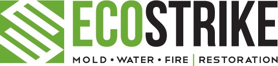 Avatar for EcoStrike