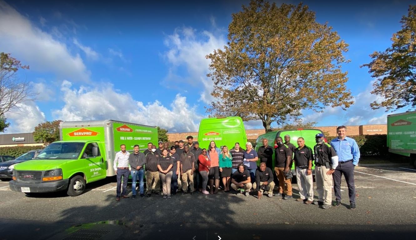 Avatar for SERVPRO of Springfield/Mt Vernon