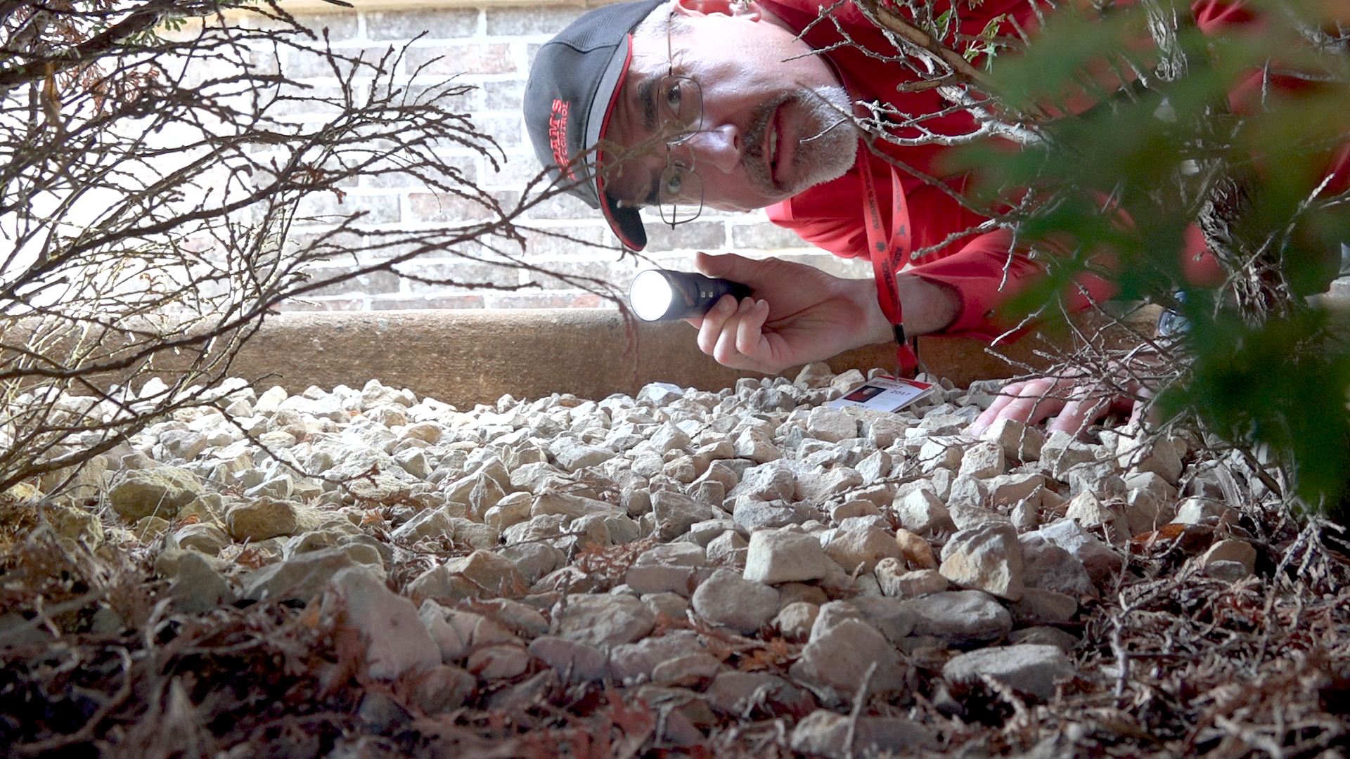 Avatar for Adam's Pest Control Inc