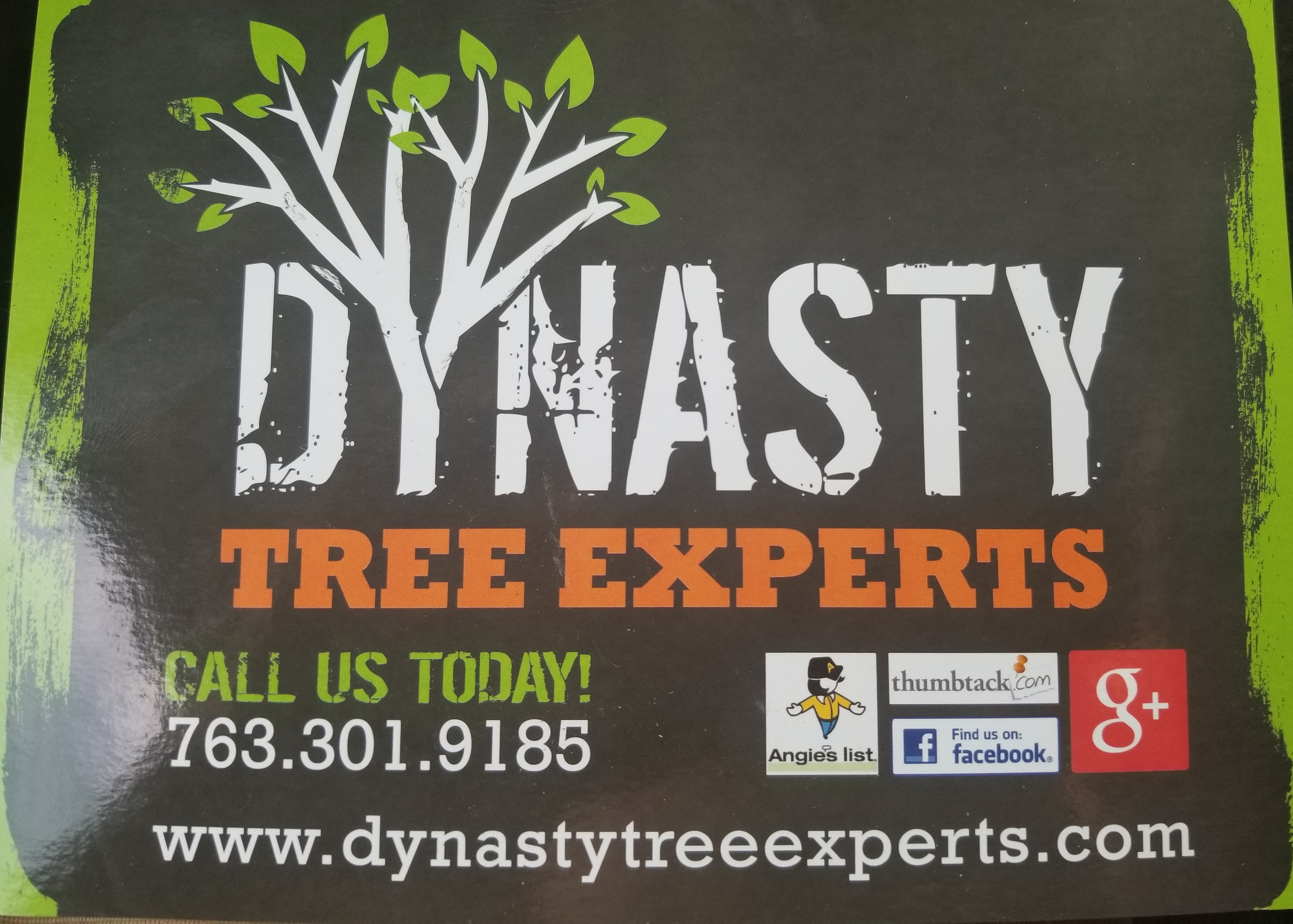 Avatar for Dynasty Tree Experts