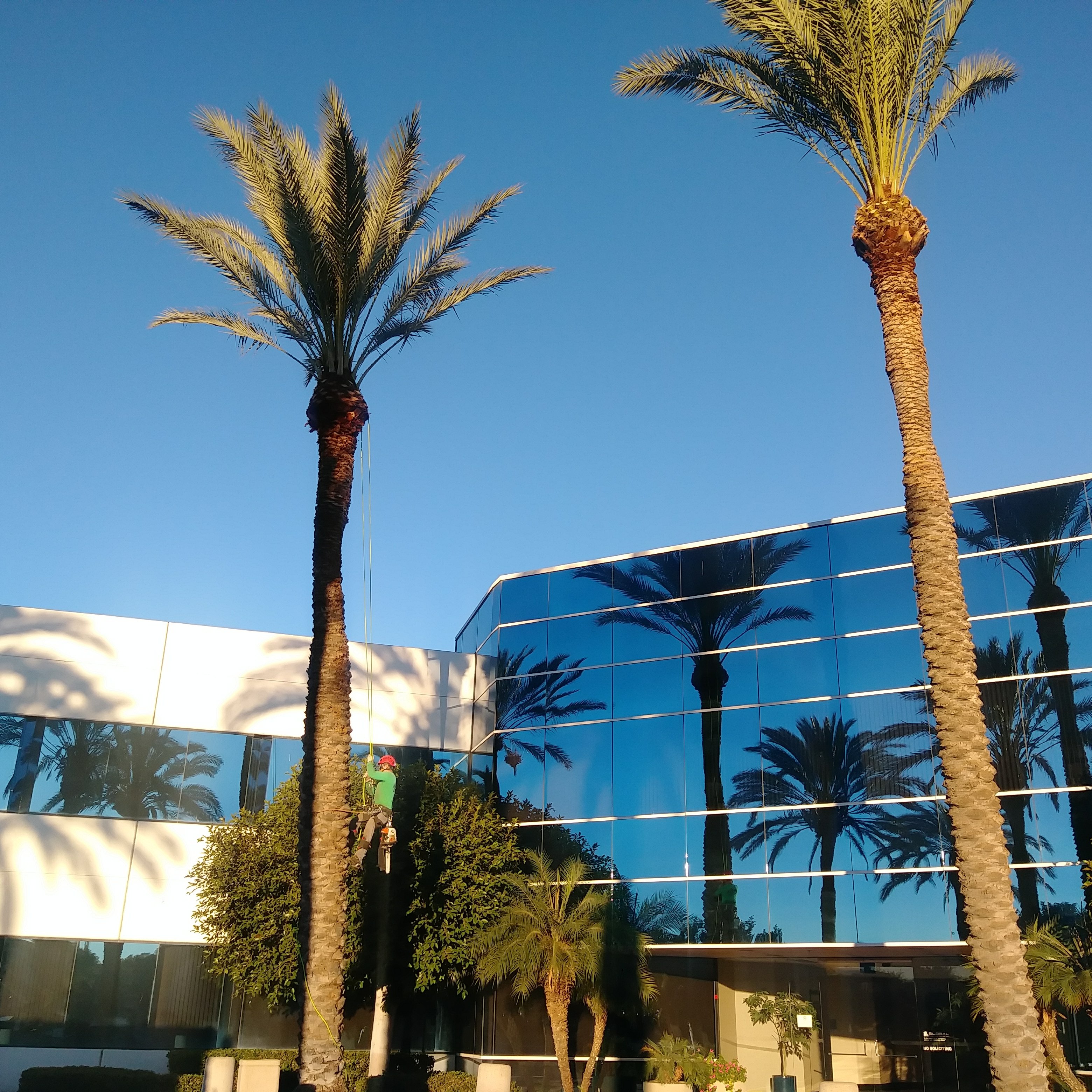 Avatar for Ezra Tree Service