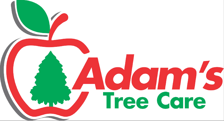 Avatar for Adams Tree Care