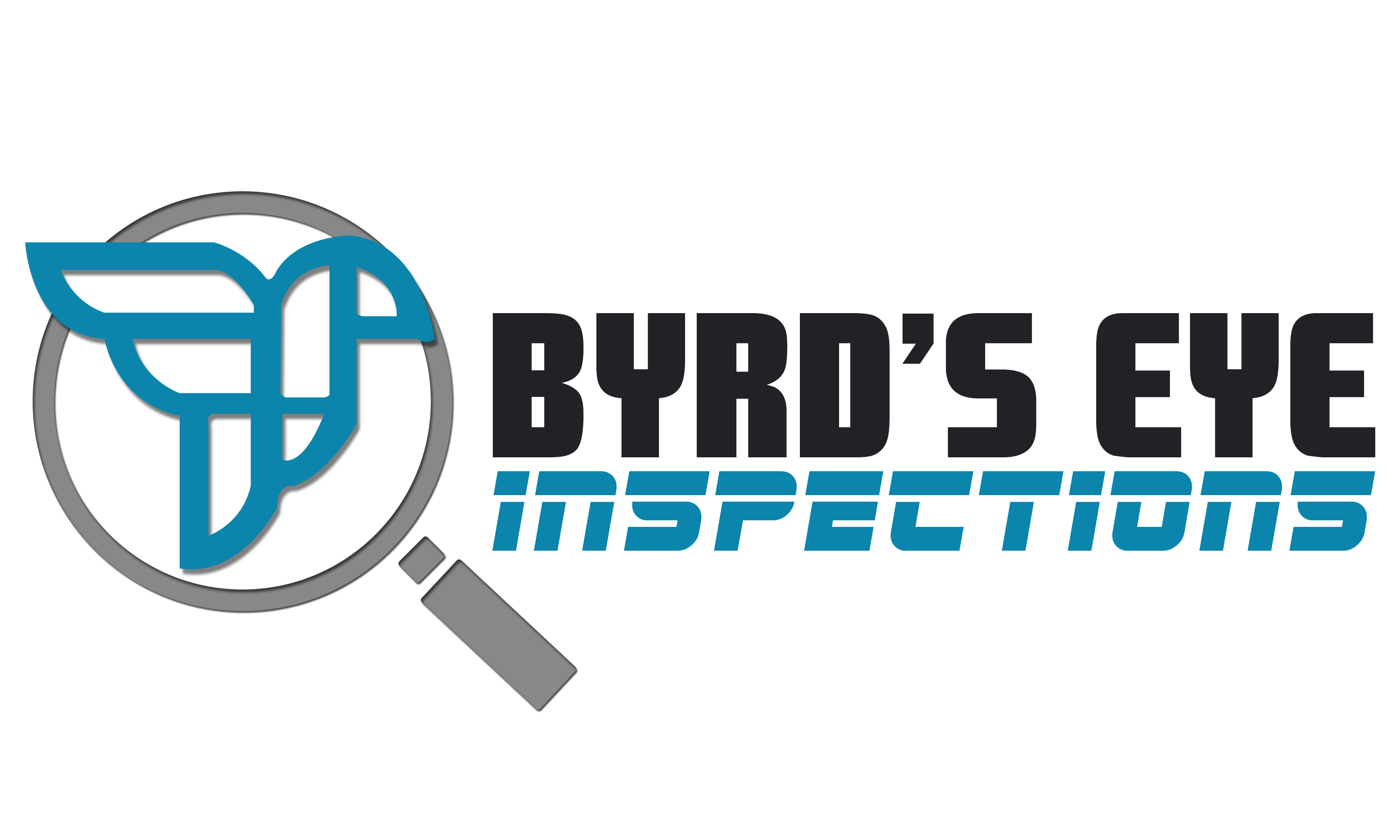 Logo for Byrd's Eye Inspections