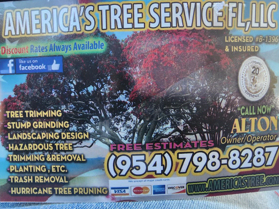 Avatar for Americas tree service Fl LLC