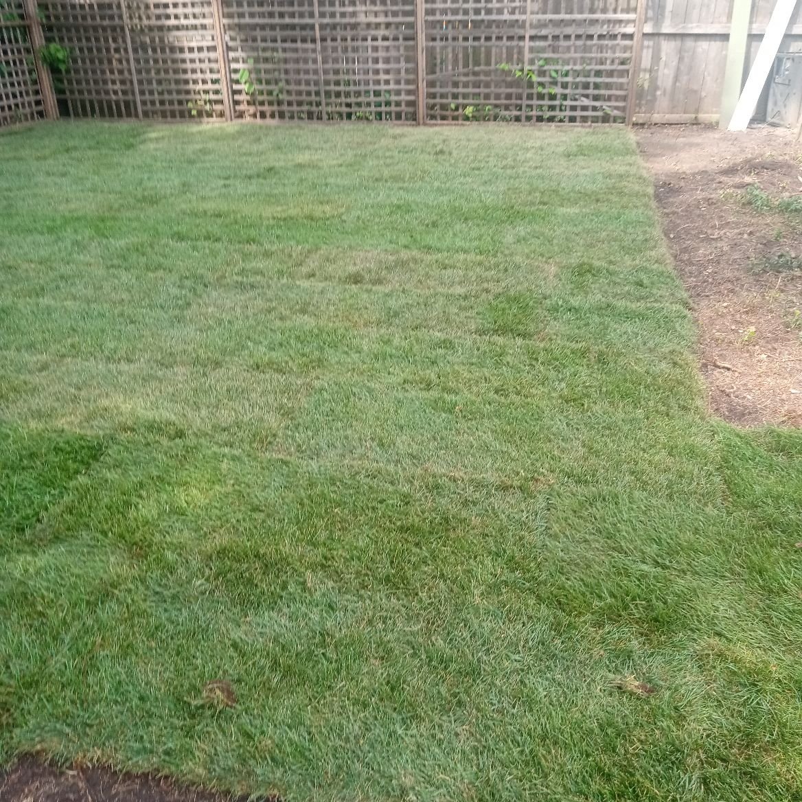 Avatar for Luna Lever LLC