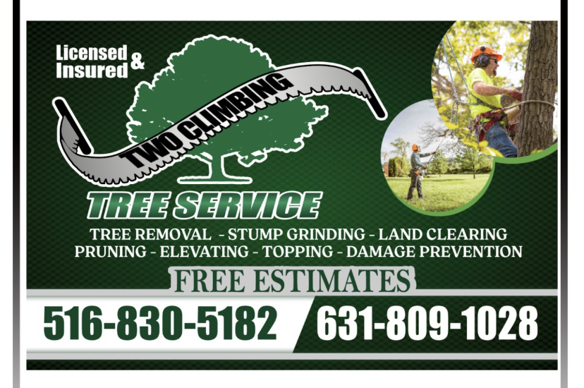 Avatar for Two Climbing Tree Service, Inc.
