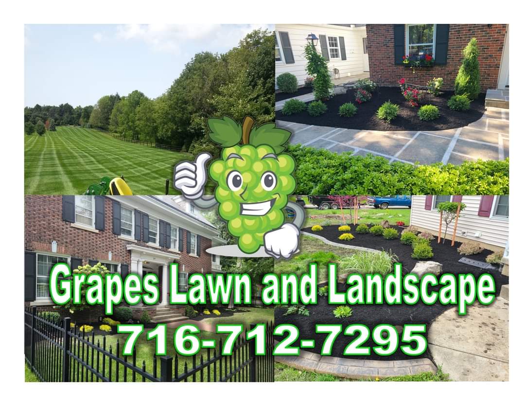 Avatar for Grapes Lawn and Landscape