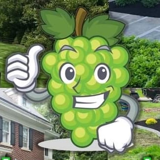 Avatar for Grapes Lawn and Landscape