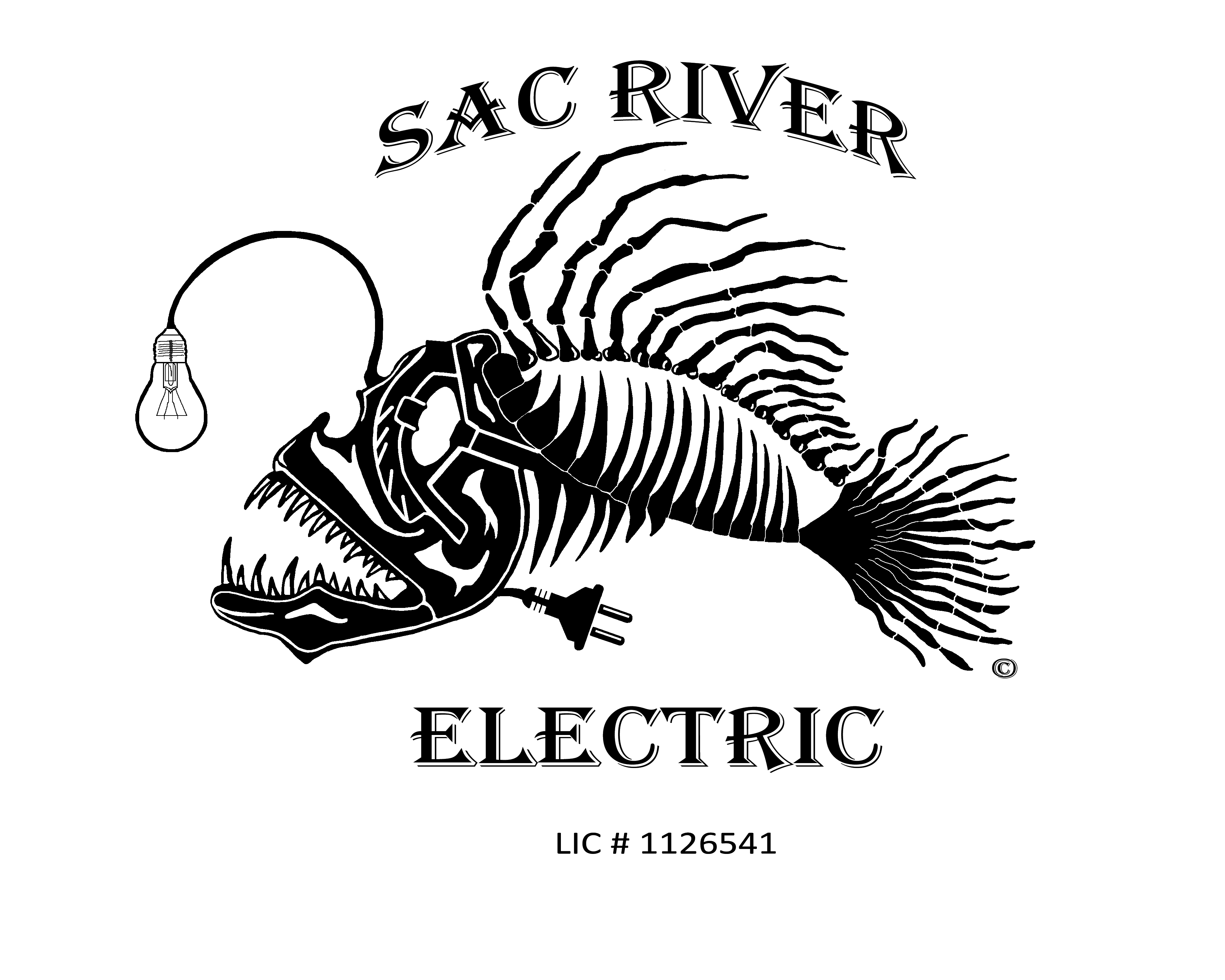 Avatar for Sac River Electric