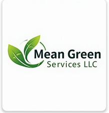 Avatar for Mean Green Services LLC