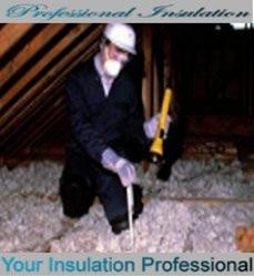 Professional Insulation logo