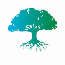 Avatar for A&G Landscaping and Lawn Care