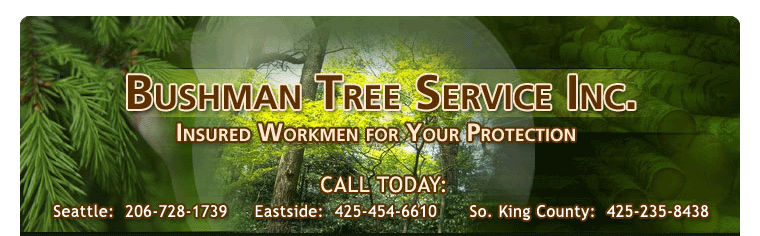 Avatar for Bushman Tree Service Inc