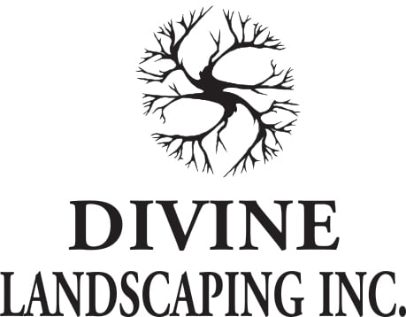 Avatar for Divine Landscaping Inc