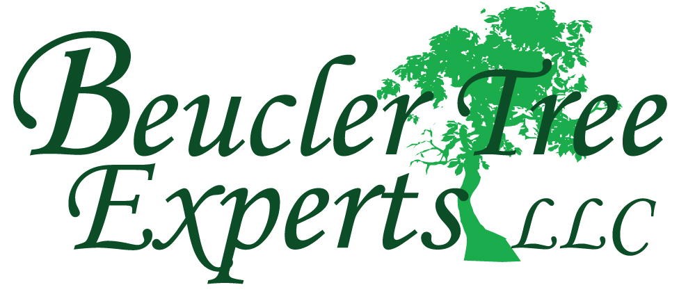 Avatar for Beucler Tree Experts LLC