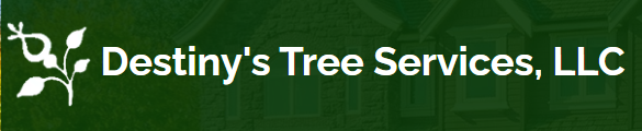 Avatar for Destiny's Tree Service LLC