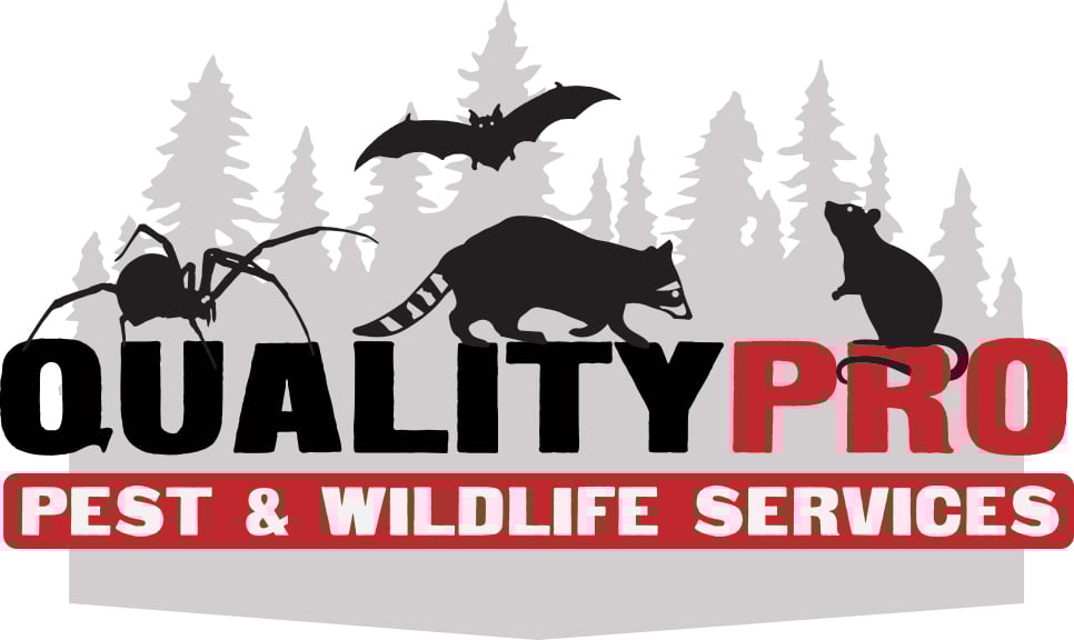 Avatar for QualityPro Pest and Wildlife Services