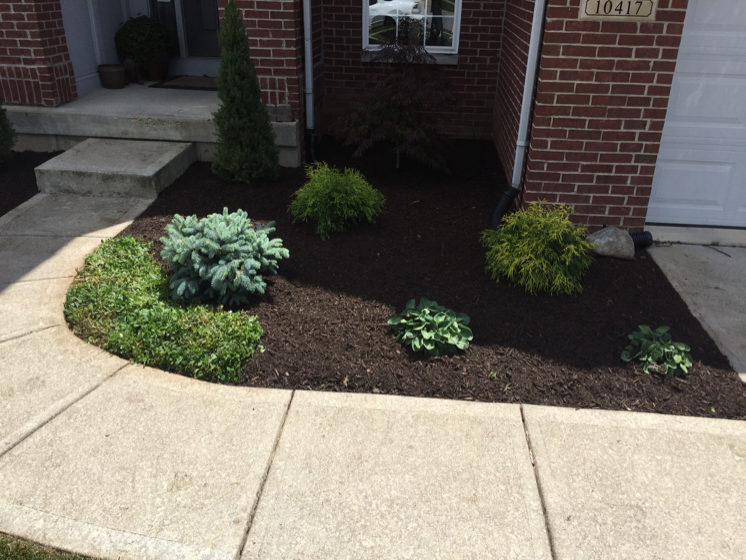 Avatar for Harris & Son's Landscaping LLC