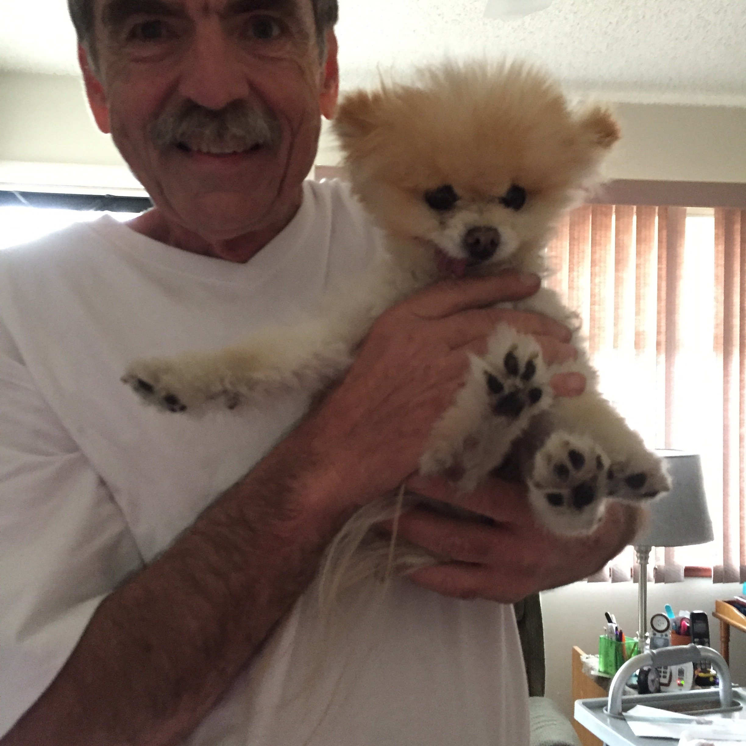 Avatar for Aardvark Sprinklers And Landscaping