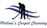 Avatar for Molina's Carpet Cleaning