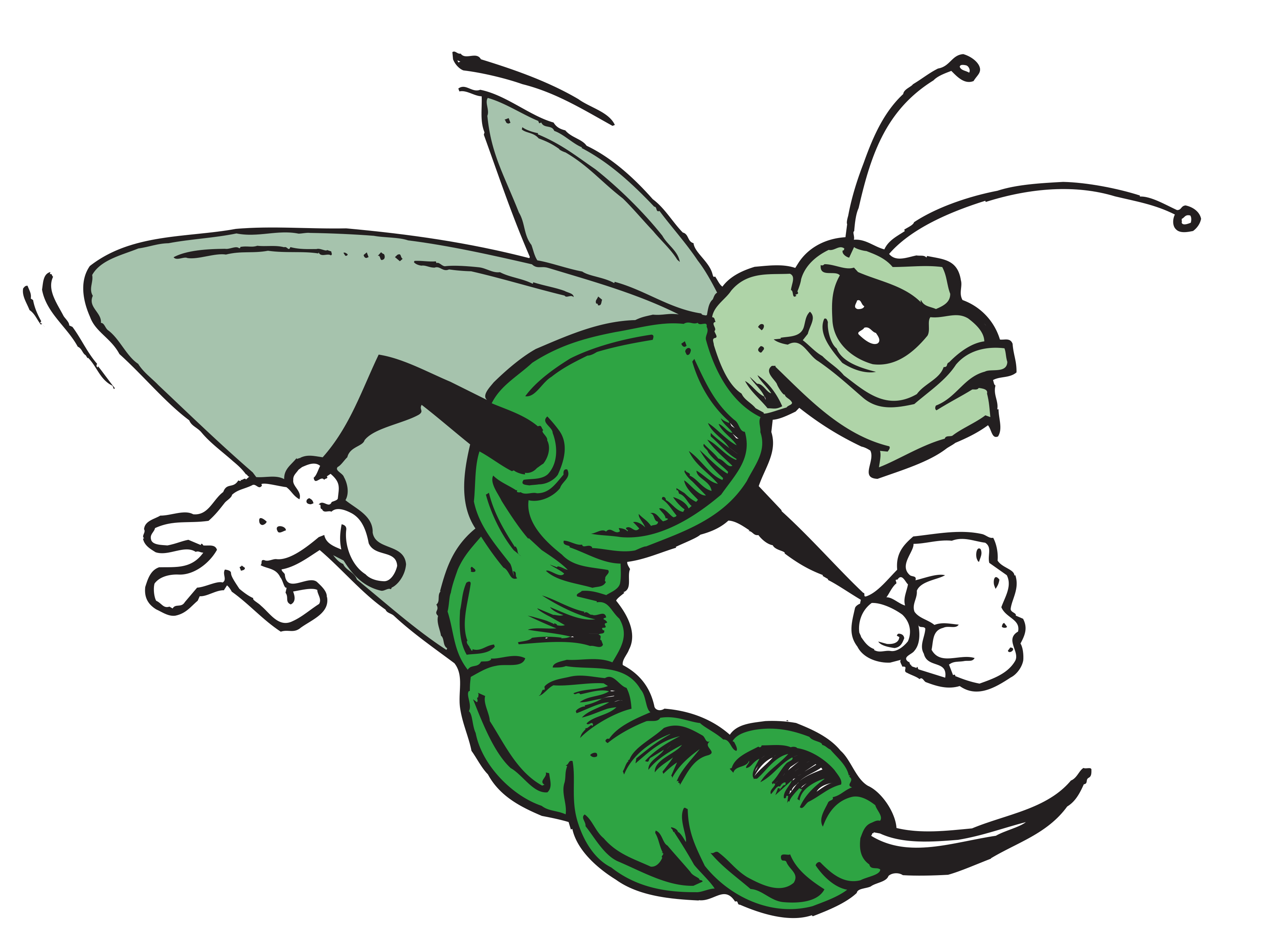 Avatar for GREEN HORNET LANDSCAPE