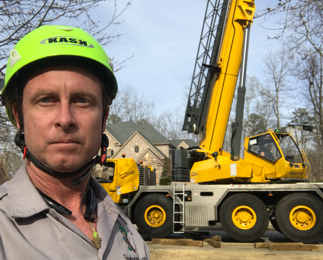 Avatar for TIMBERLINE EXPERT TREE SERVICE