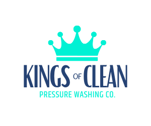 Avatar for Kings of Clean