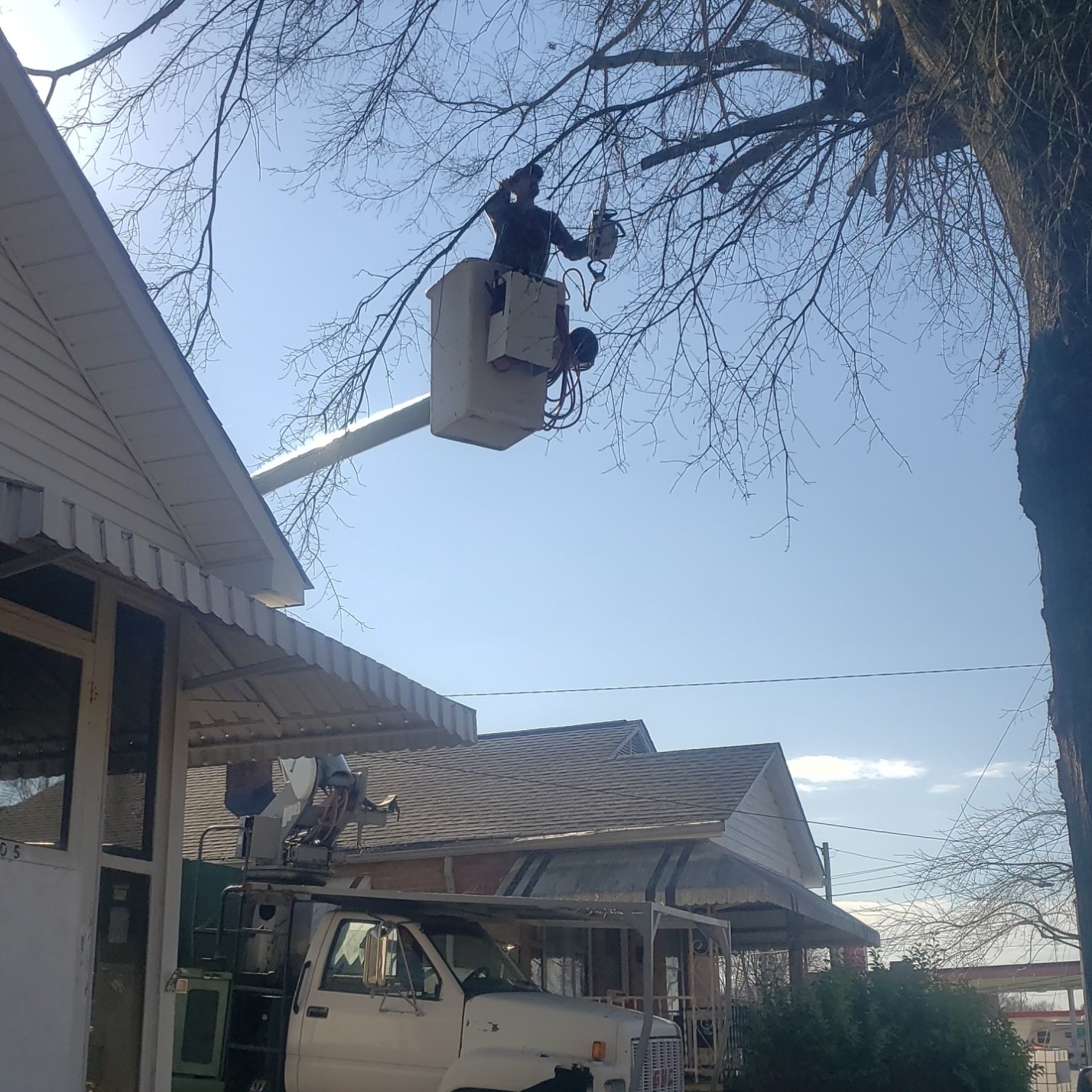 Avatar for Hyler's Tree Service